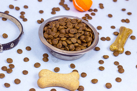 狗吃骨頭與寵物食品 科學(xué)的飼養(yǎng)選擇