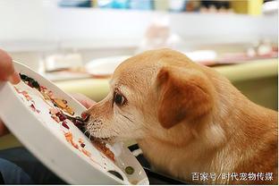 寵物食品行業的主流銷售模式解析